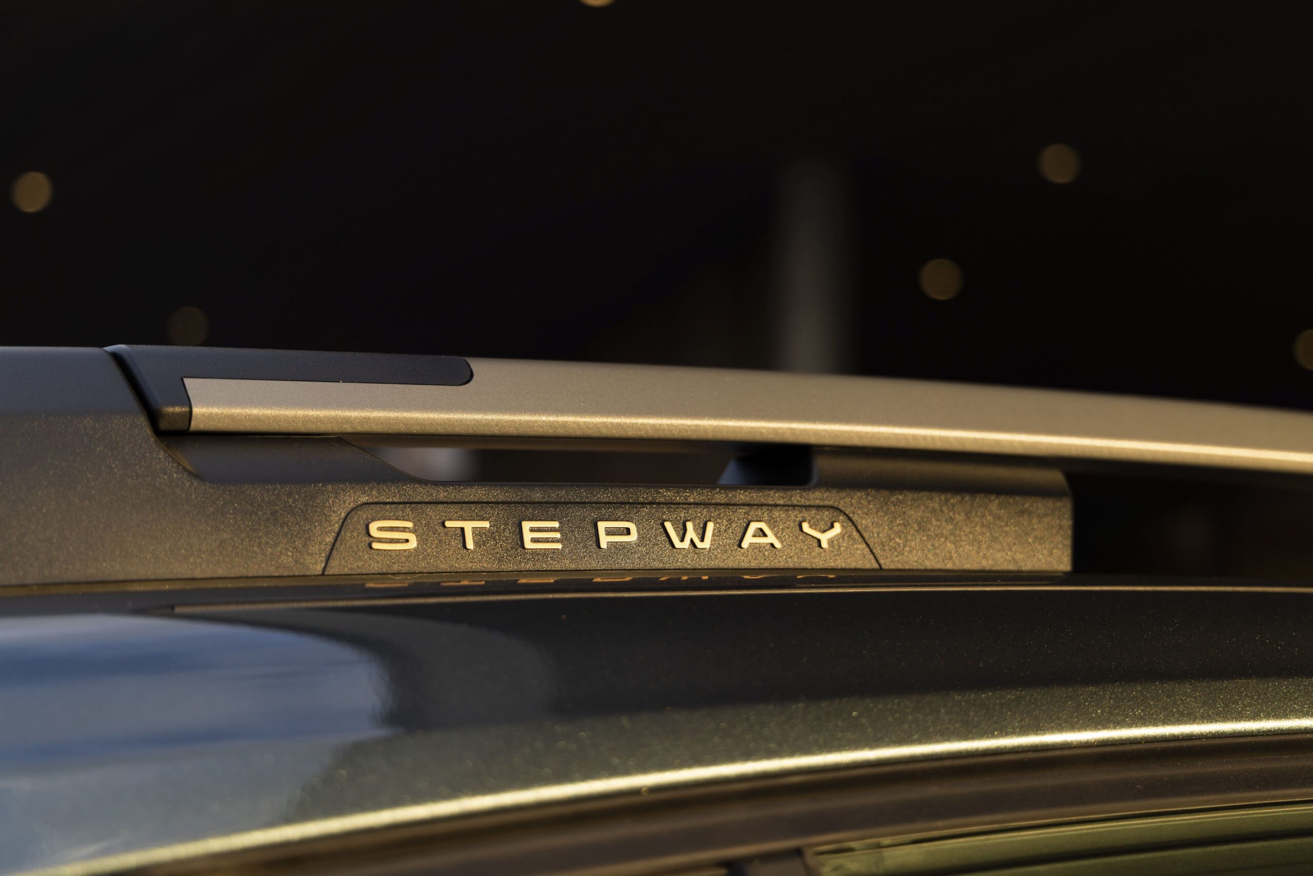 Dacia Sandero Stepway Extreme dakrails