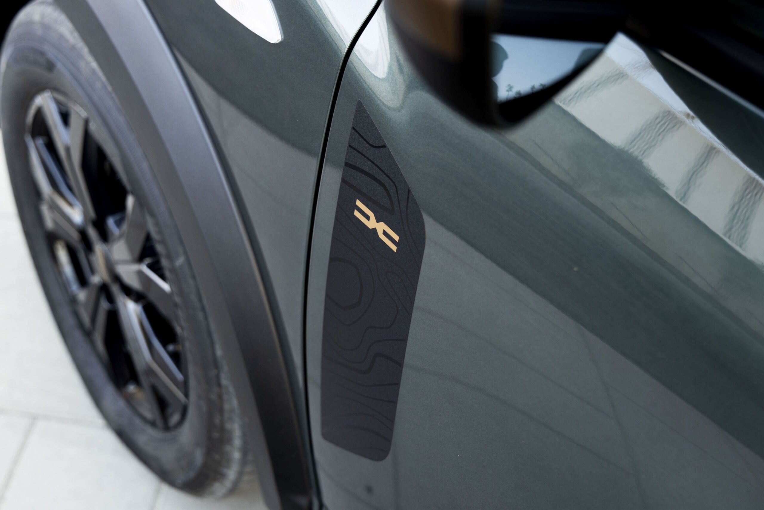 Dacia Stepway Sandero deursticker