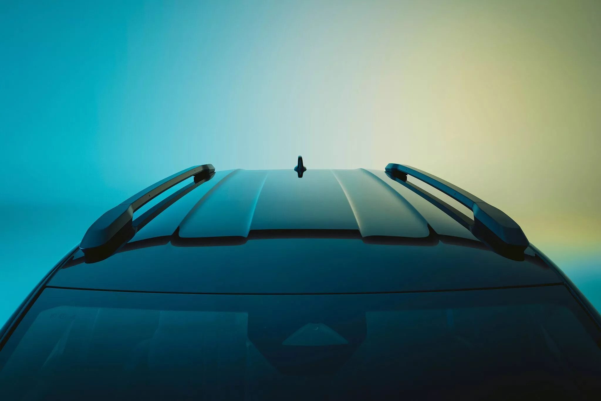 Renault 4 dakdragers