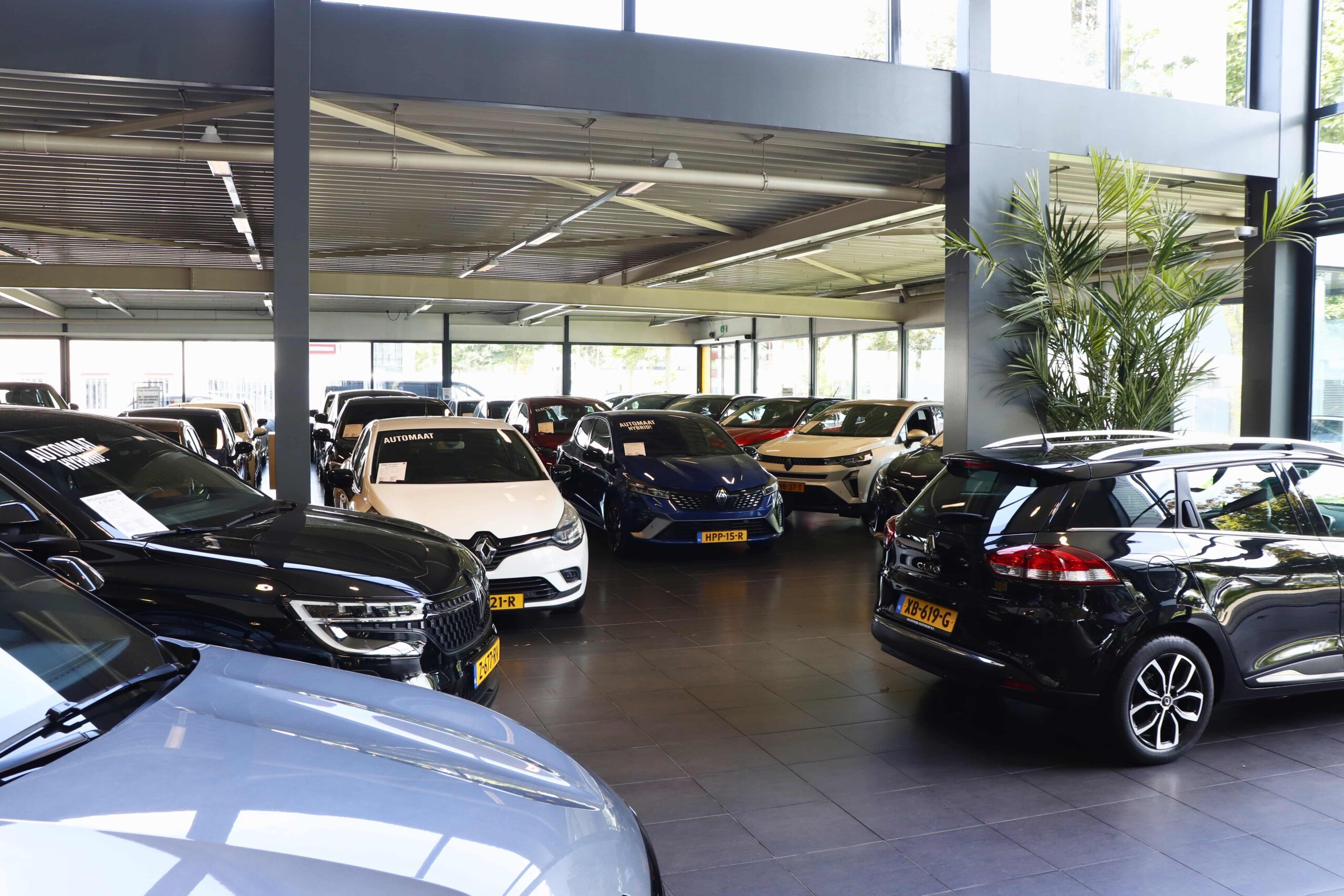 Renault Nieuwendijk Hoofddorp occasions